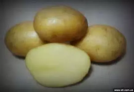 Картопля насінева